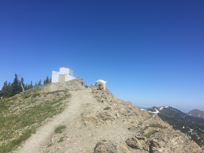 Jewel Basin Mountain Biking Trails Trailforks