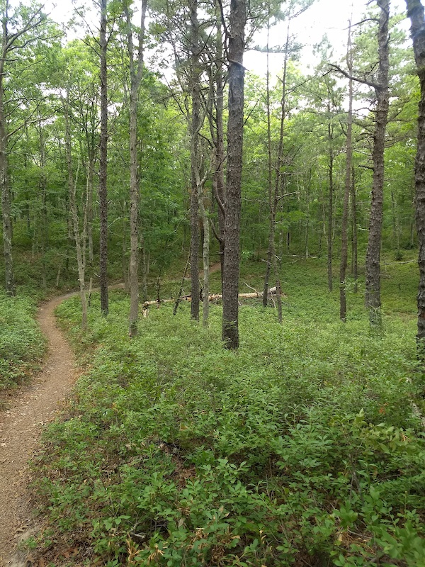 Manorville Hills County Park Mountain Biking Trails Trailforks