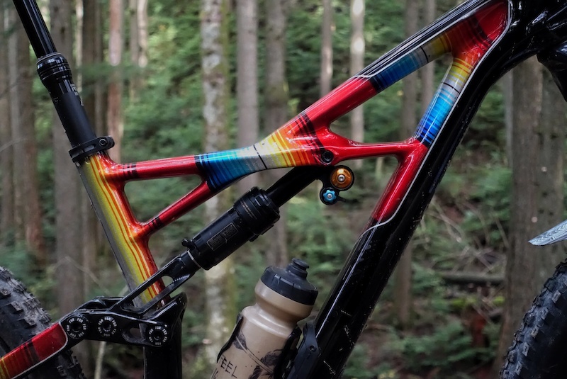 specialized custom paint