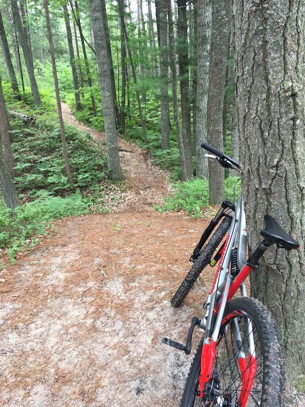 Wilderness State Park Mountain Biking Trails Trailforks