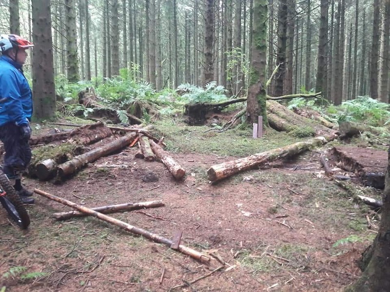 Recently built double has been destroyed only a few weeks after the trail was completed.