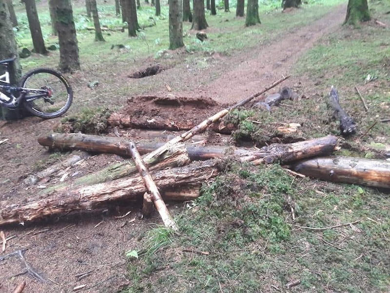 Recently built trail destroyed by some mindless idiots.