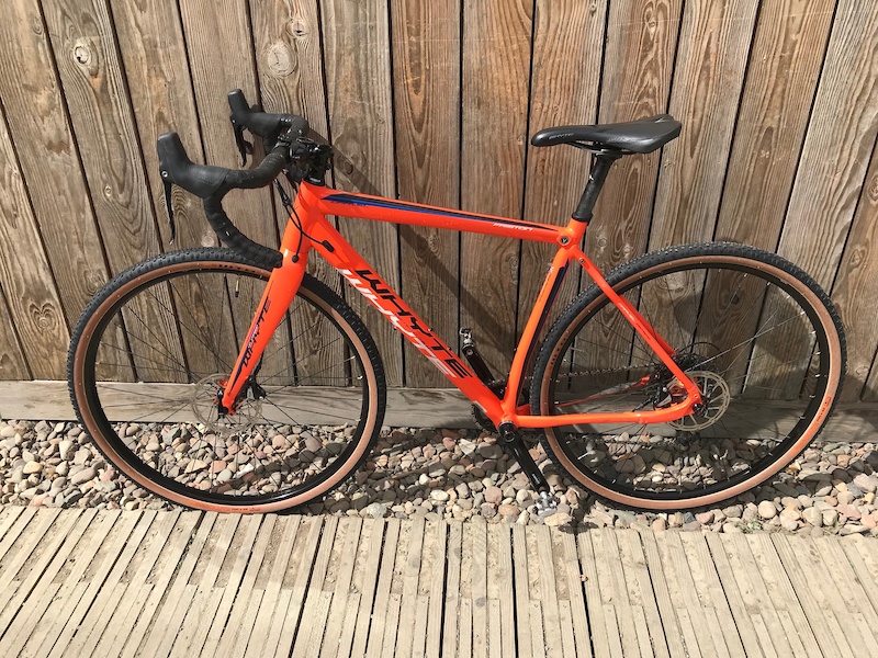 whyte friston 2017