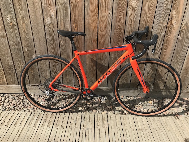 whyte friston 2017