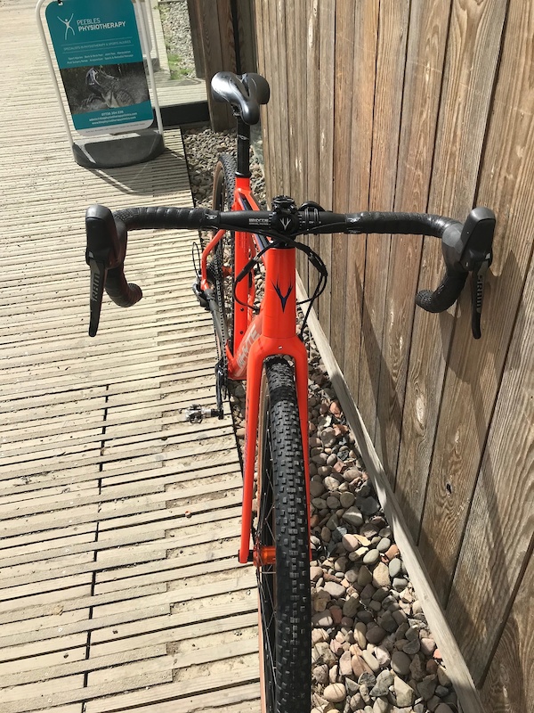 whyte friston 2017
