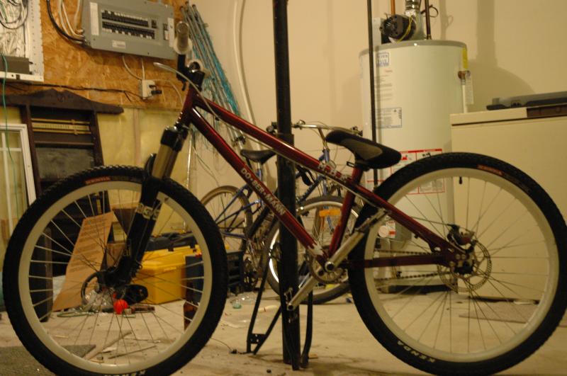 bike with new fork