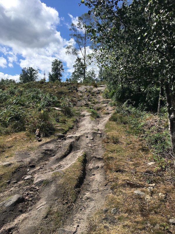 wiltshire mountain bike trails