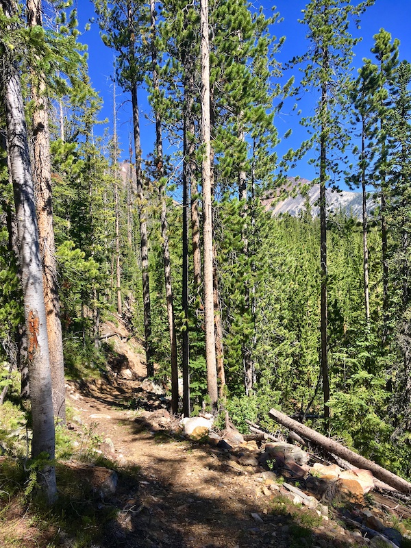 CDT Lower Seymour Lake to Sullivan Creek Mountain Biking Trail Anaconda