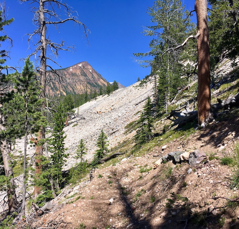CDT Mt Haggin, Anaconda Mountain Biking Trails Trailforks