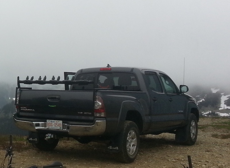 Tailgate rack For Sale