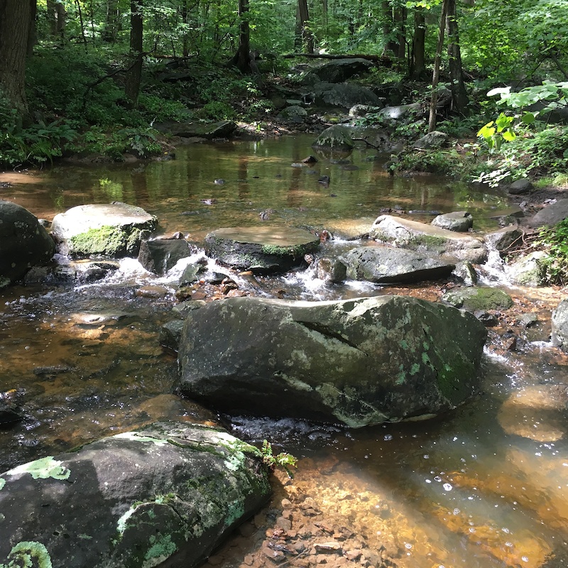 mill creek mtb trails