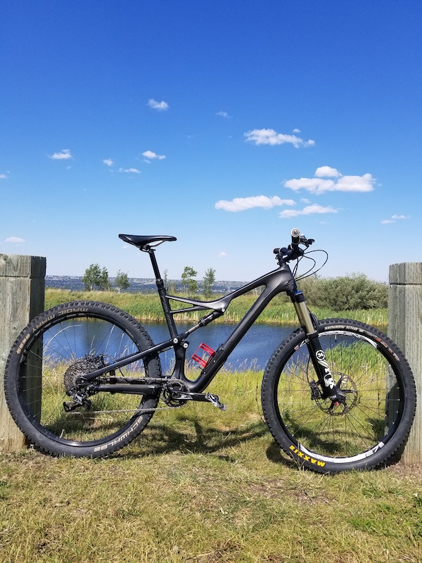 specialized camber elite