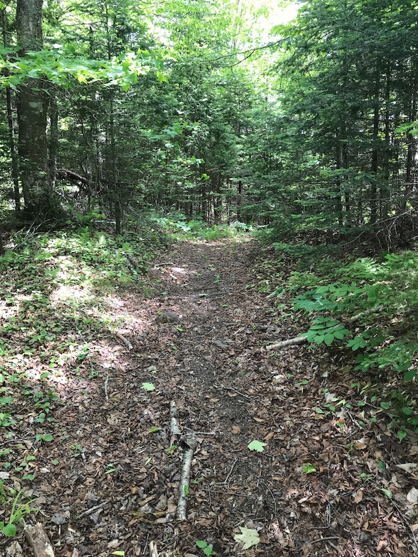GrandBay Westfield, New Brunswick Mountain Biking Trails Trailforks