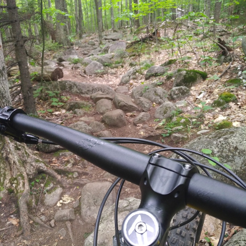 Marble Mountain Mountain Biking Trail Wilmington