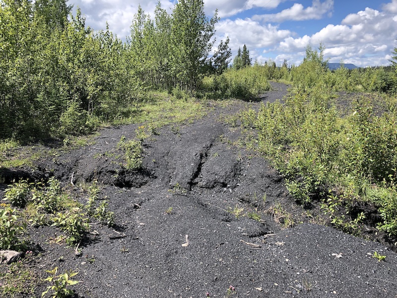 Coal Road Trail Multi Trail Nordegg, Alberta