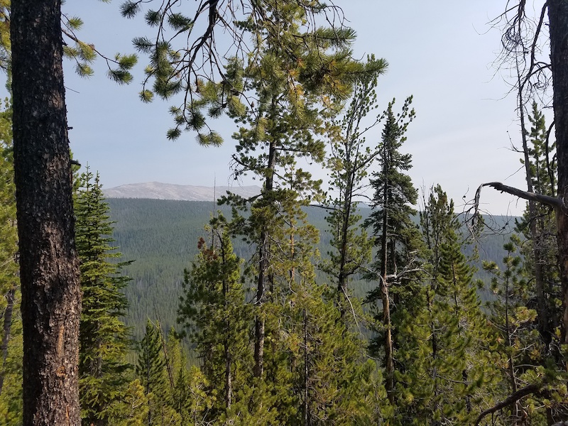 CDT So Far Multi Trail - Anaconda, Montana | Trailforks