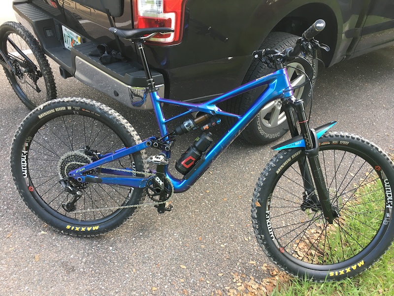 specialized enduro chameleon