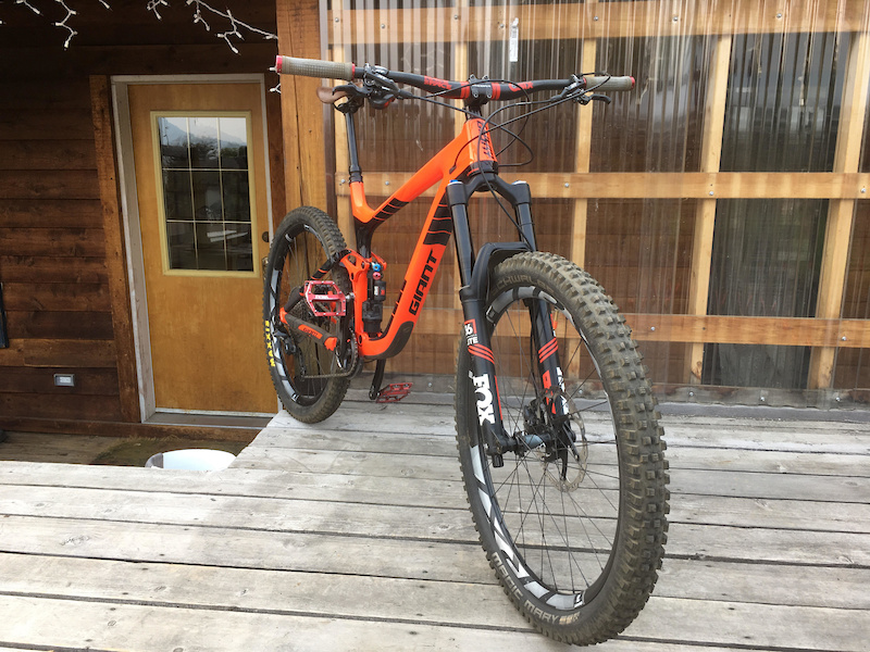 giant reign custom paint