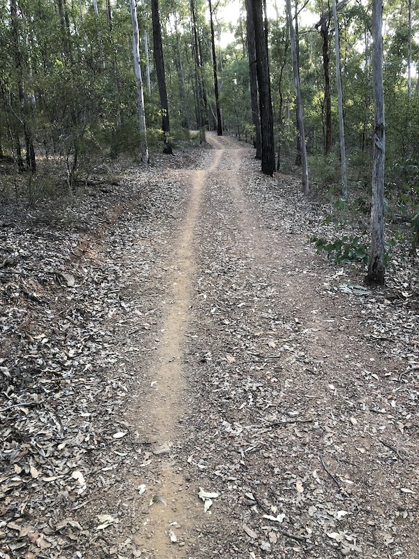 South Boundary Road Mountain Biking Trail - Brisbane