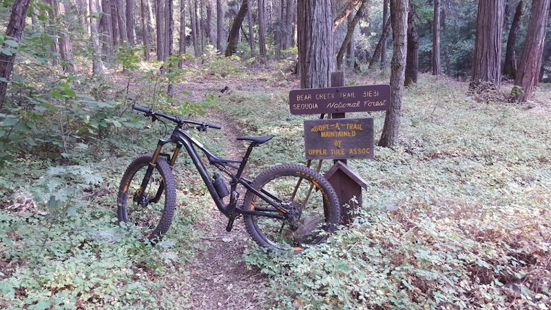 Bear creek mountain bike hot sale