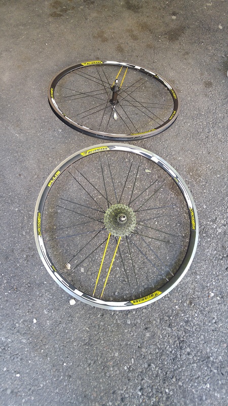 weinmann rims