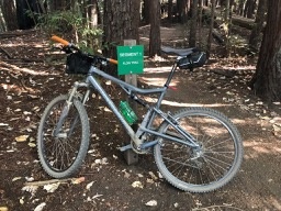 A fun trial.