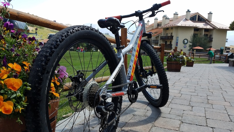 scott scale plus 2017