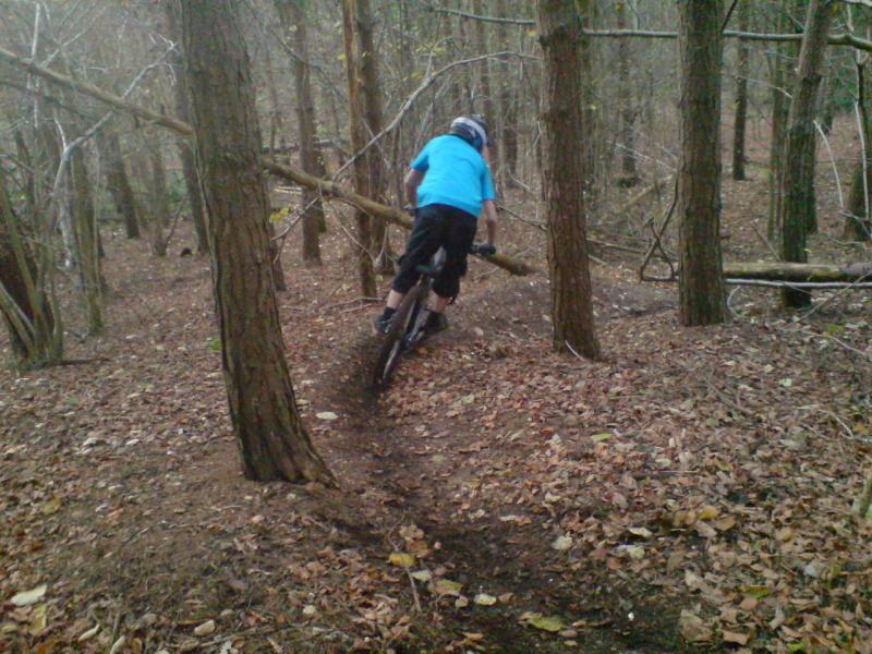 Berm