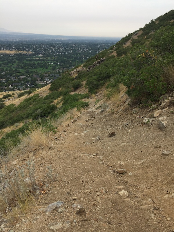 Suspension Bridge Hike Mountain Biking Route Trailforks