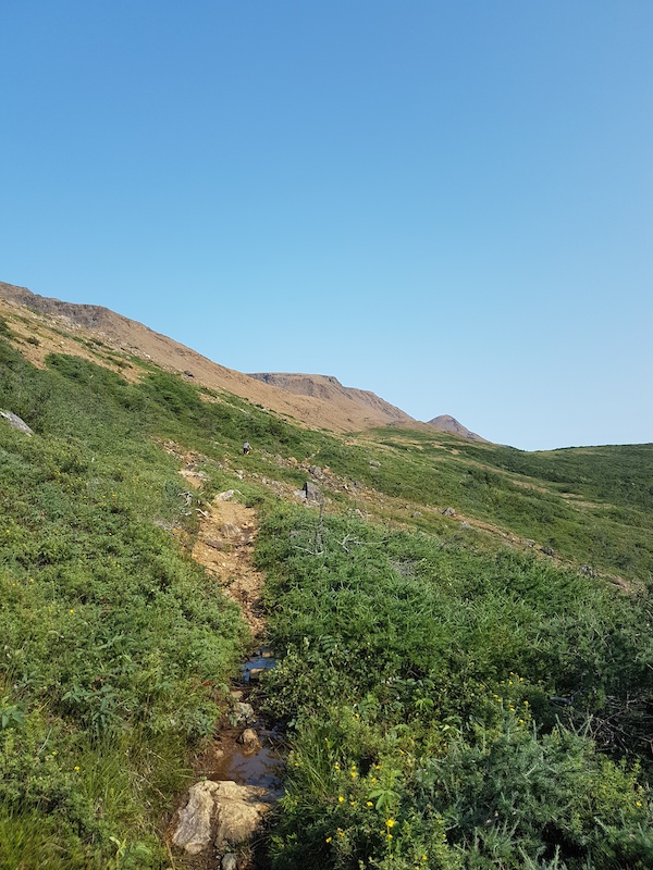 Trout River Pond Hiking Trail Trout River, Newfoundland