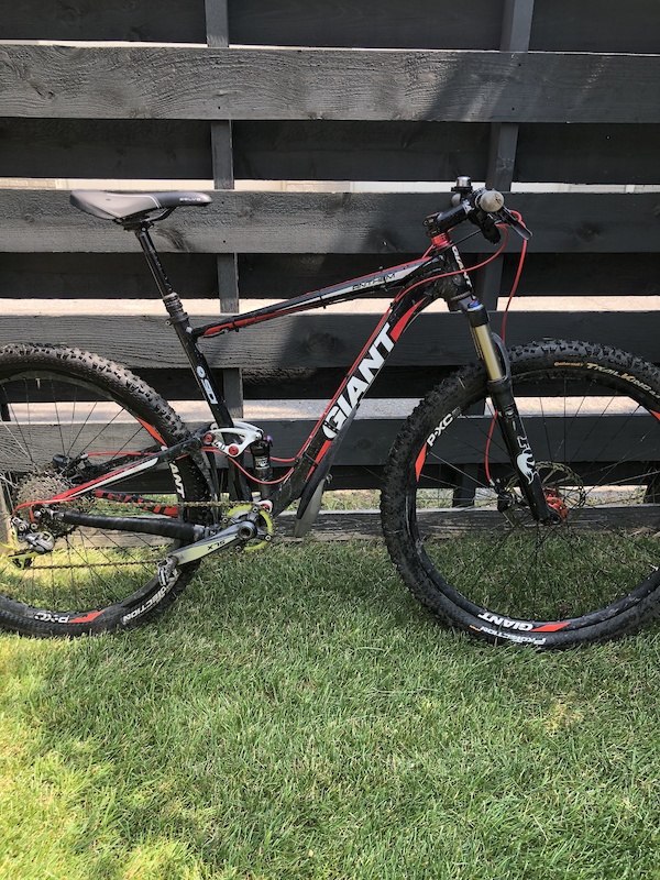 giant 29er for sale