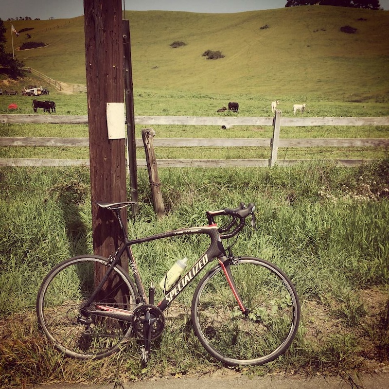 specialized tarmac sl2 for sale