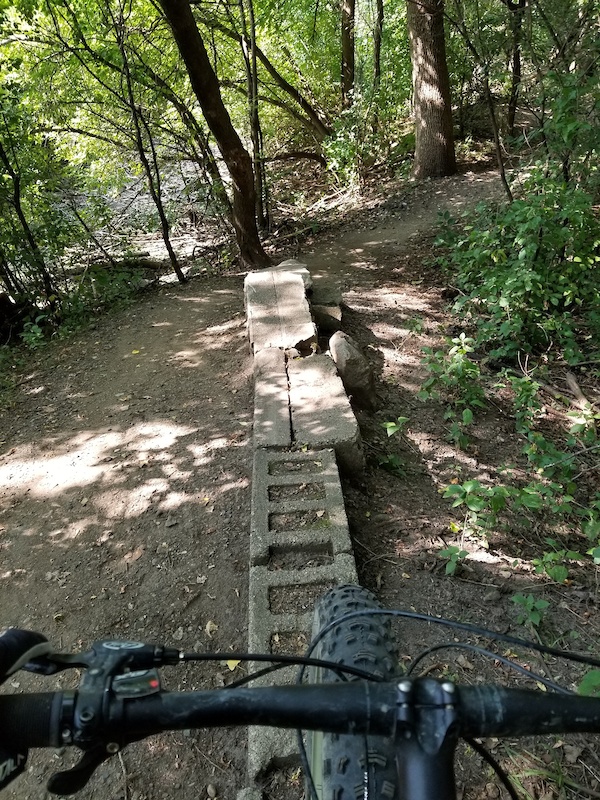 theo wirth mountain bike trails