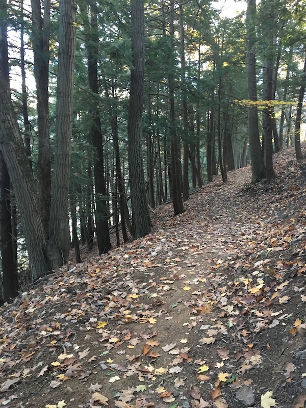 Kinzua Point Multi Trail Warren, Pennsylvania