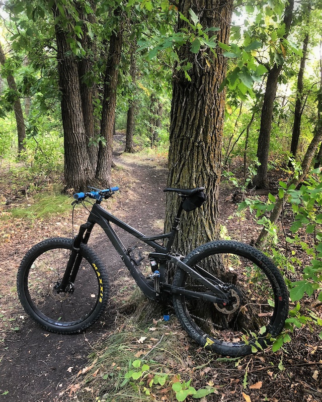 devinci marshall carbon