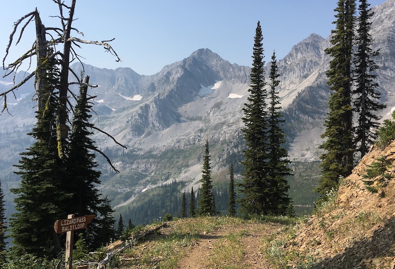 Mount Baldy (HIKING ONLY) Hiking Trail Fernie, BC
