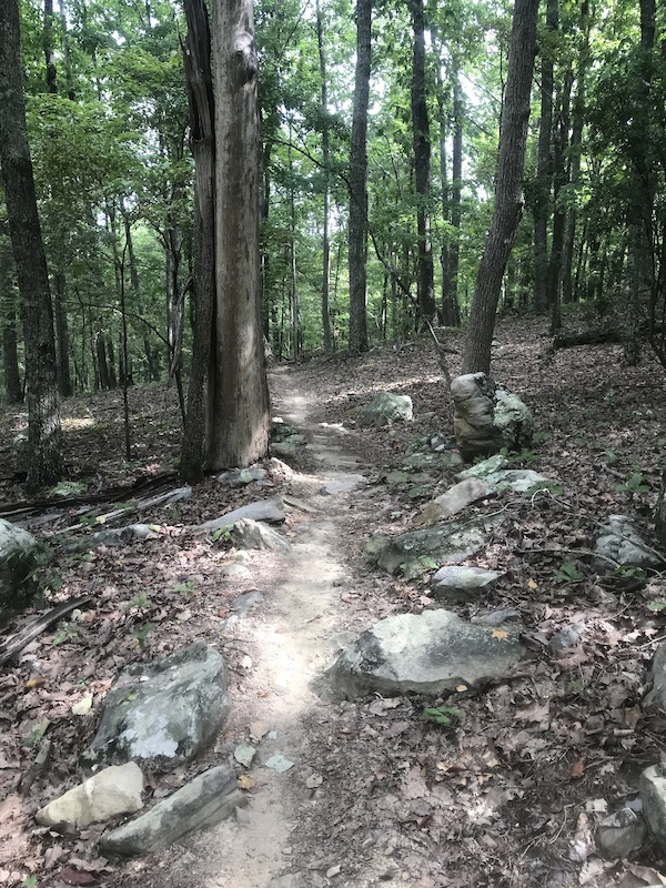 Thunder Point Loop Thunder/Lightning Loop Mountain Biking Route | Trailforks
