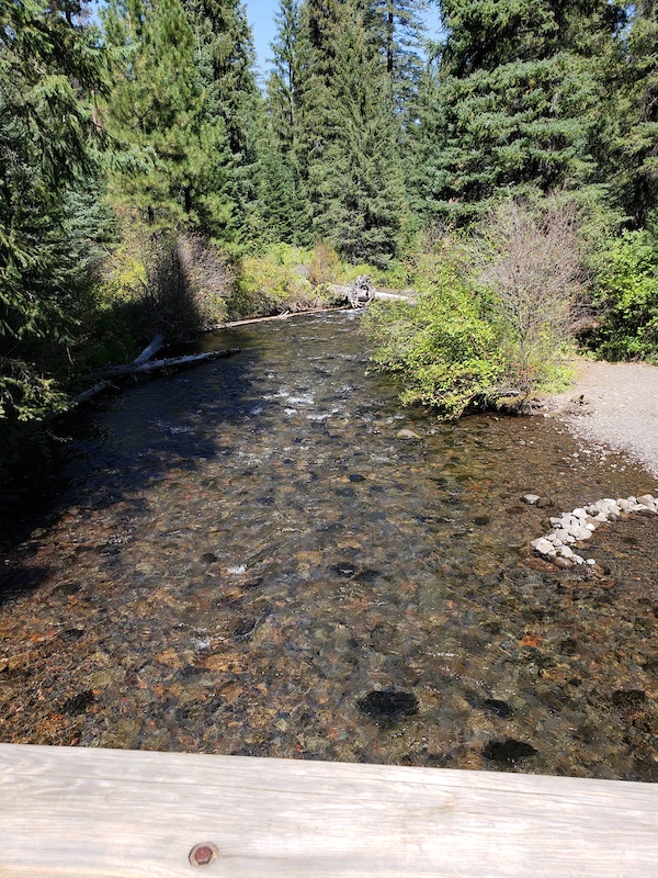 Shevlin Park Loop Multi Trail Phil's, Bend, Oregon