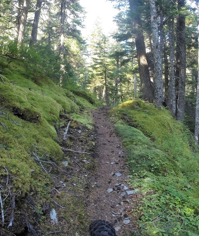 Meridian Lakes (Iditarod NHT) Multi Trail Seward, AK