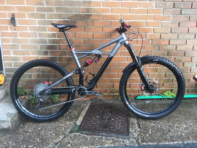 custom specialized enduro