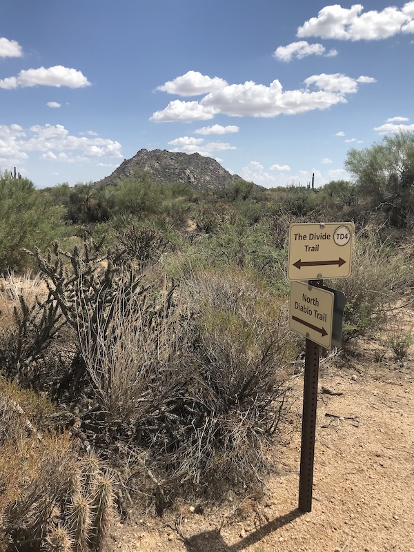 20 Mile Ride from Pima Dynamite TH Mountain Biking Route | Trailforks