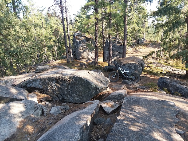 Lyons Mountain Biking Trail sierra village, California