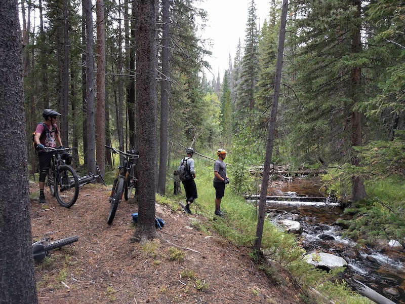Beaver Pecker Mountain Biking Trail Red Feather Lakes