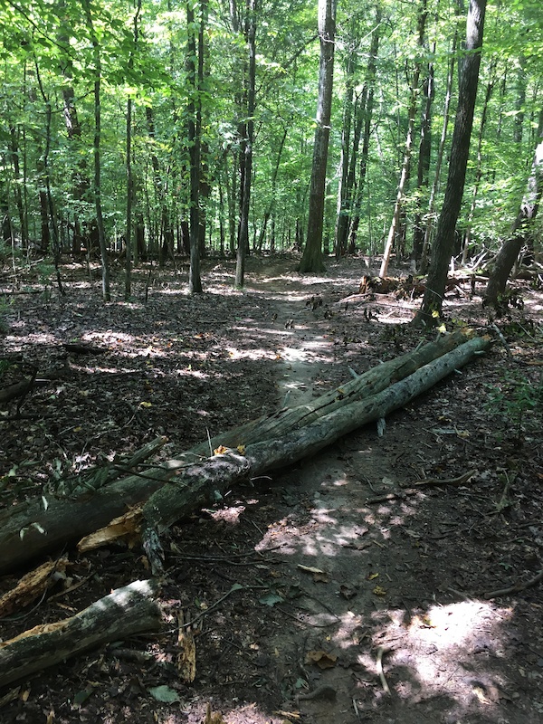 Big Loop Mountain Biking Trail Greensboro, NC