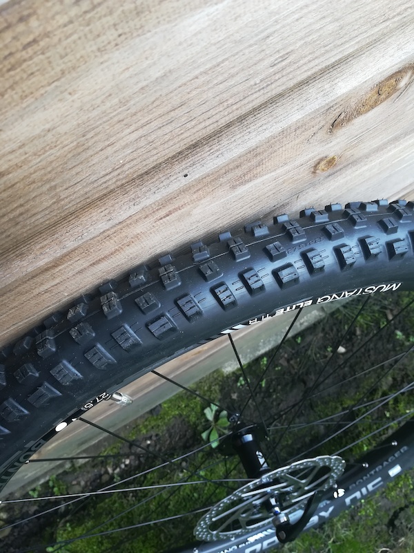 Mountain Bike Bontrager Mustang Mountain Bike Wheel Bontrager