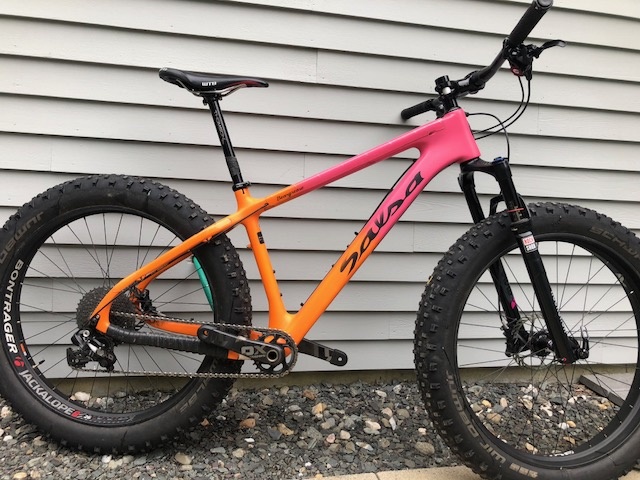 2016 salsa beargrease carbon x1