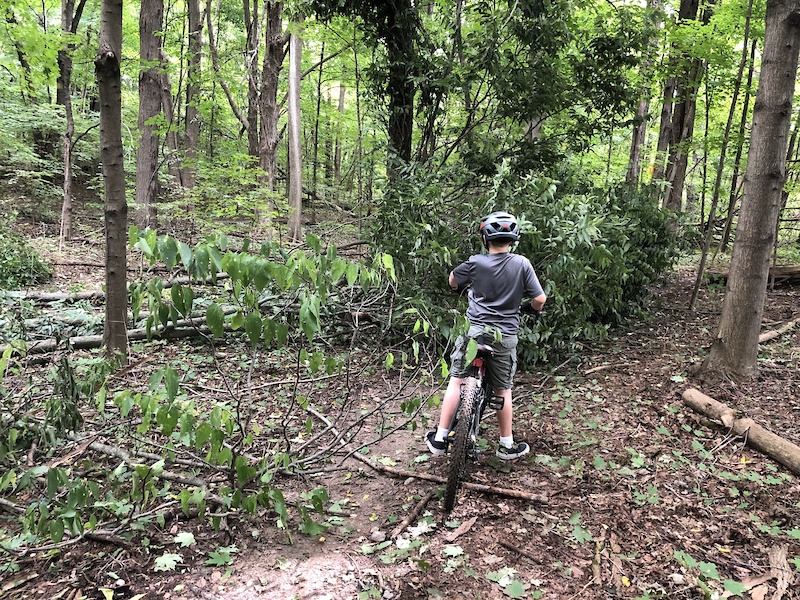 South Flats Mountain Biking Trail Kalamazoo, Michigan