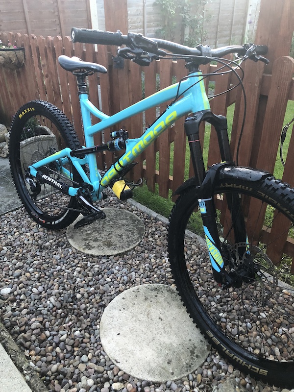 dartmoor blackbird frame price