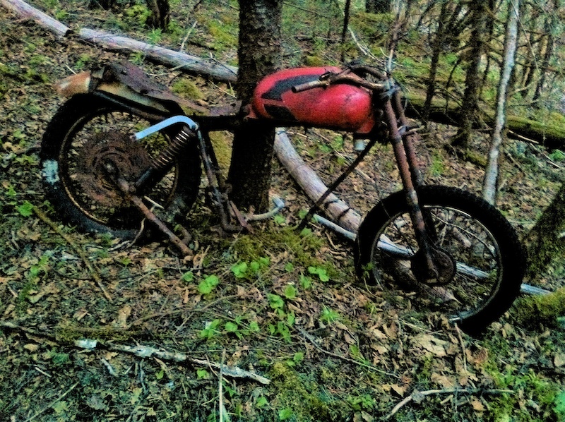 Moto Guzzi Mountain Biking Trail Juneau, Alaska