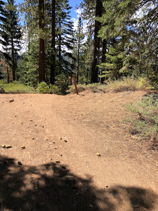 Woop Dee Doo Mountain Biking Trail Tahoe City Ca